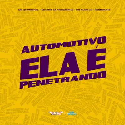 Automotivo Ela É Sadomasoquista - Single