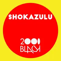 Peace To The Puzzle — Shokazulu