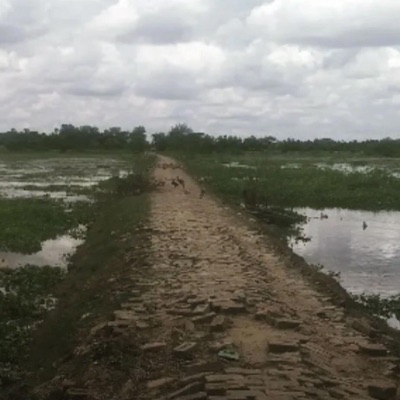 A Walk Between Fields - Single