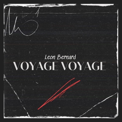 Voyage Voyage - Single