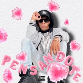 PENSANDOTE MaDWILLIAMS