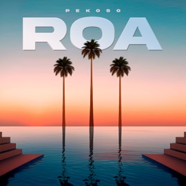 Ma Pa Mi (Remix) PEKOSO & TBaze