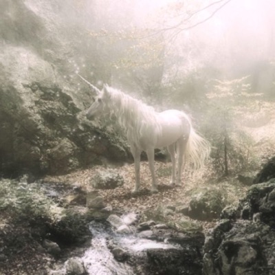 unicorn (freestyle) - Single