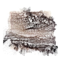 Drown With Me (feat. Kajsa Kedefors) - EP - Alkane