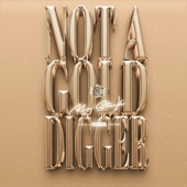 Not a Gold Digger artwork