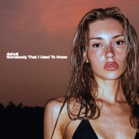 Somebody That I Used to Know - Single - 4eholl