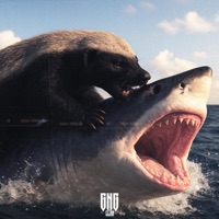 STİL HAS - Single - Ulash