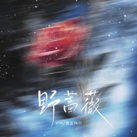 野蔷薇 (伴奏版) arou & 归尘Vbill