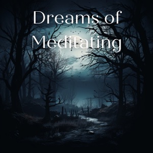 Dreams of Meditating