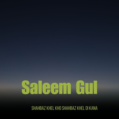 Saleem Gul - Shahbaz Khel Kho Shahbaz Khel Di Kana