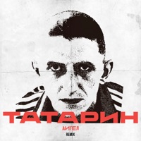 Татарин (Remix) - Single - АИГЕЛ