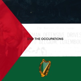 FIFP Aaron Everything