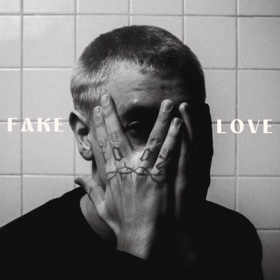 Fake Love - Single