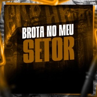 Brota no Meu Setor - Single - DJ CLEBER, DJ SD 061 & MC Vinin
