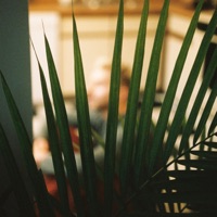 Need It (Use Some Love) - Single - Ben Provencial & Jaylon Ashaun