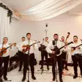 Curo malena