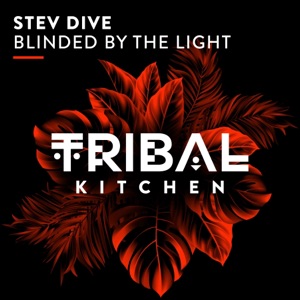 Blinded by the Light - Single
