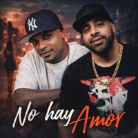 No Hay Amor (feat. Villanosam) - Single - Destino El Realista