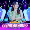 Memandangmu (feat. Diva Hani) - Single