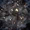 Steps (feat. Elizabeth Landis) - David Reyes lyrics