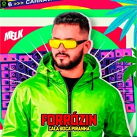 Forrózin Cala Boca Piranha - Single - djmelk