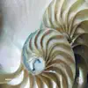 AMAYLIA - Ipa