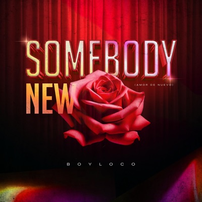 Somebody New - Single