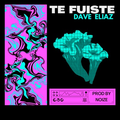Te Fuiste - Single