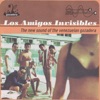 Los Amigos Invisibles - Las Lycras Del Avila