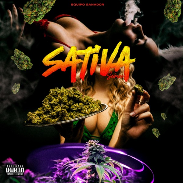 Sativa