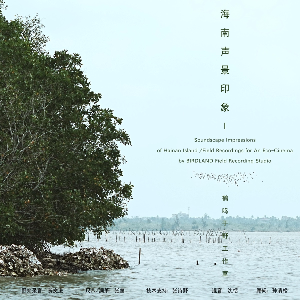 贺文进, 张笛 & 孙清松 – 海南声景印象1 (2026) [iTunes Plus AAC M4A]-新房子