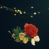 under the lights - Single - Sam Ock