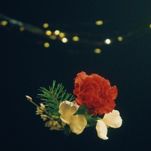 under the lights - Single