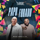 Papo Furado (Eu Quero é Pagode) [Ao Vivo] artwork