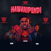 HAWANIPENDI (feat. Sonic & Ralin) [Special Version] - Single - Jaylaizer Tz