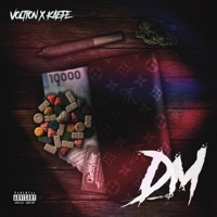 DM (feat. KaeFe) - Single - VOLTION