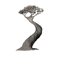 Move On - Single - her tree