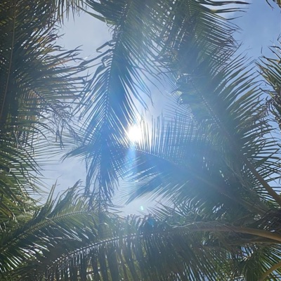 First Flight (feat. Prod. By SH) - Single