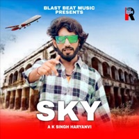 Sky (feat. Naresh Tanwar) - Single - A K Singh Haryanvi