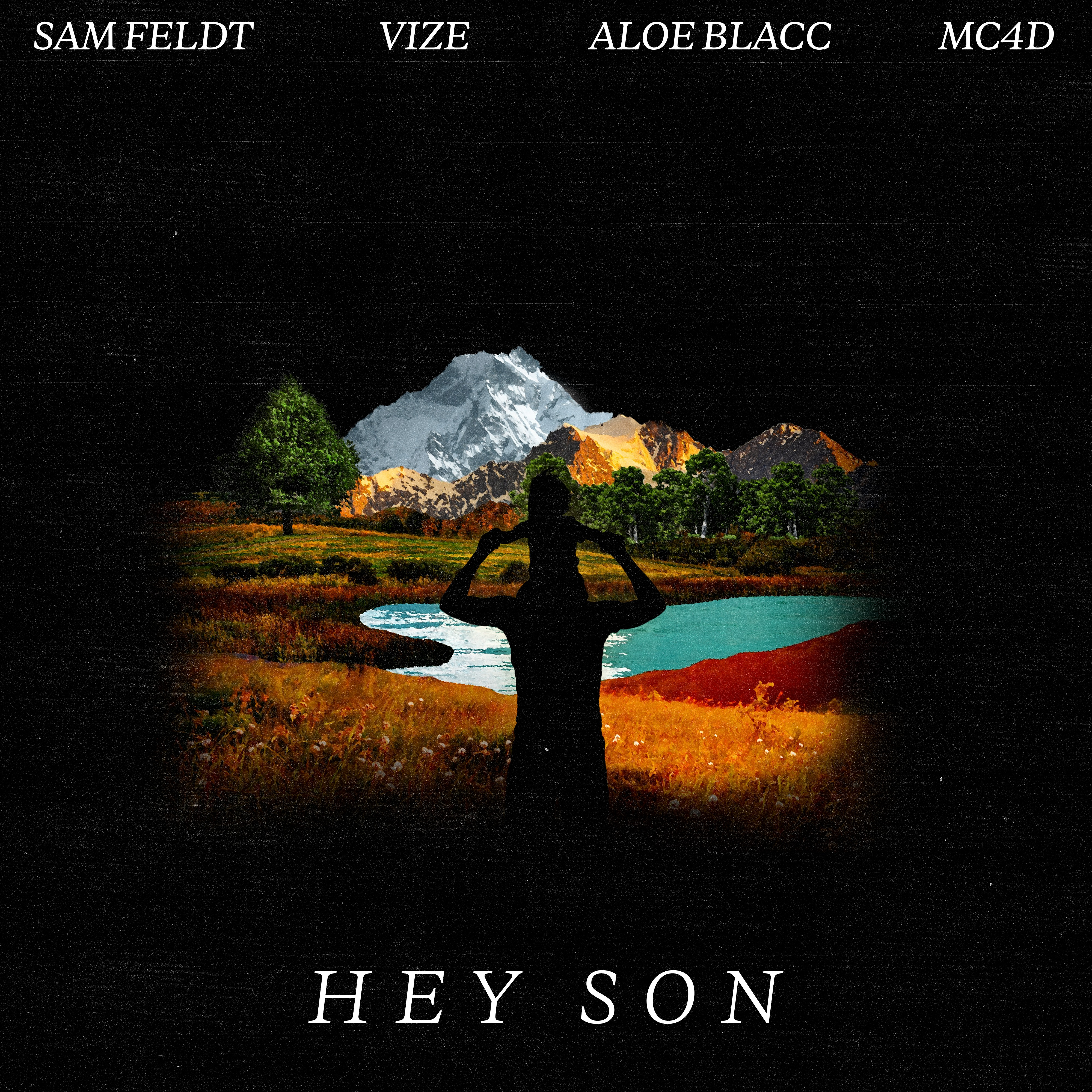 TERAZ GRAMY Sam Feldt, MC4D, VIZE & Aloe Blacc - Hey Son