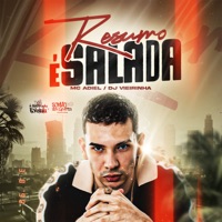 Resumo É Salada - Single - Mc Adiel & DJ Vieirinha