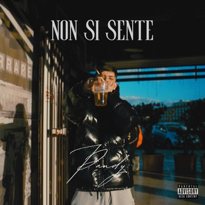 NON SI SENTE - Single