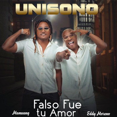 Falso Fue Tu Amor - Single