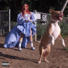 Funny Faces THE BLSSM