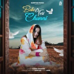 Bebbe Teri Chunni - Single
