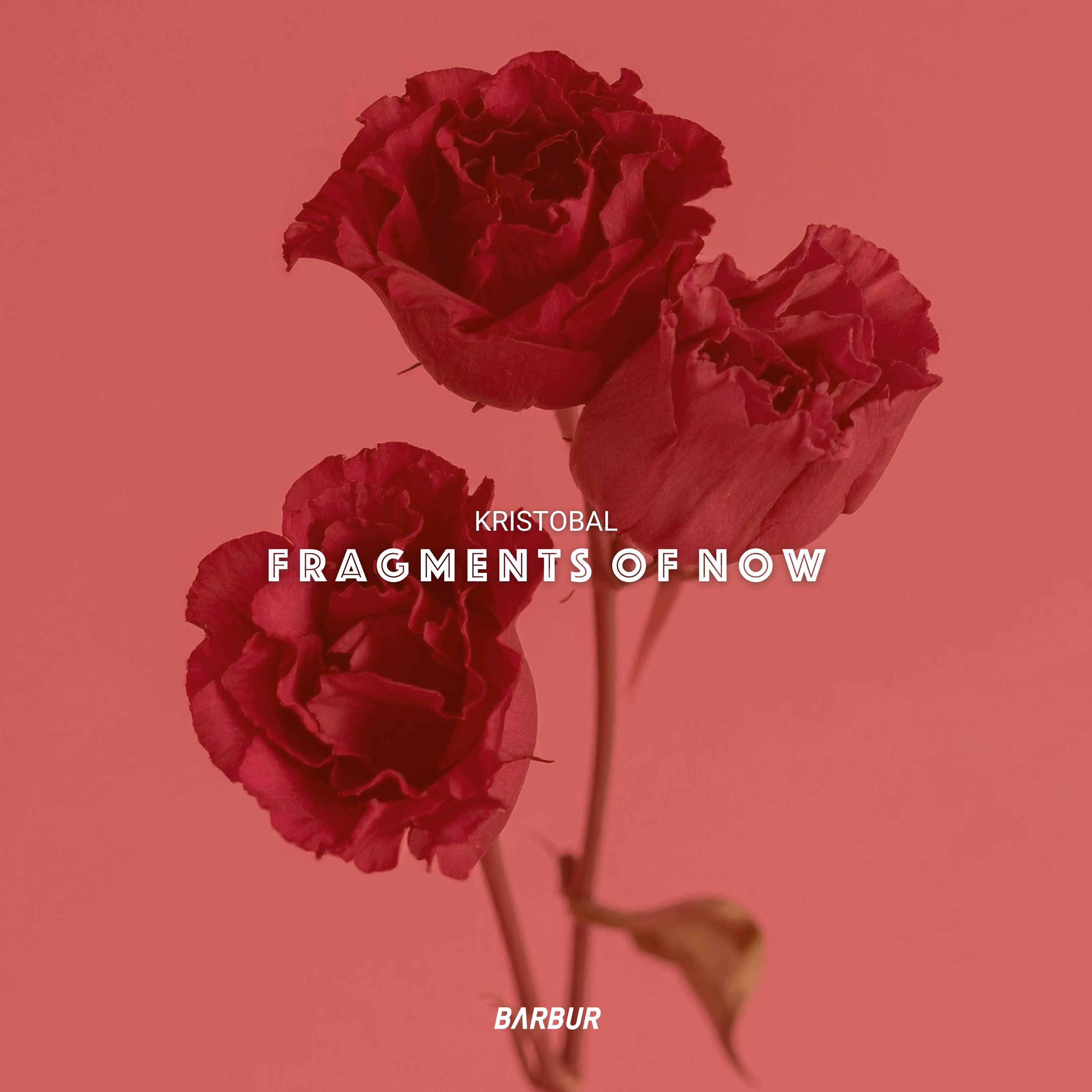 Fragments of Now - Single