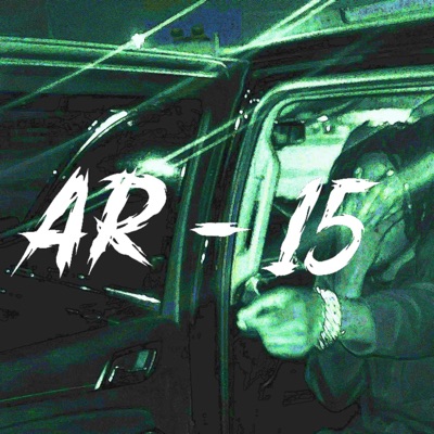 AR 15 - Single