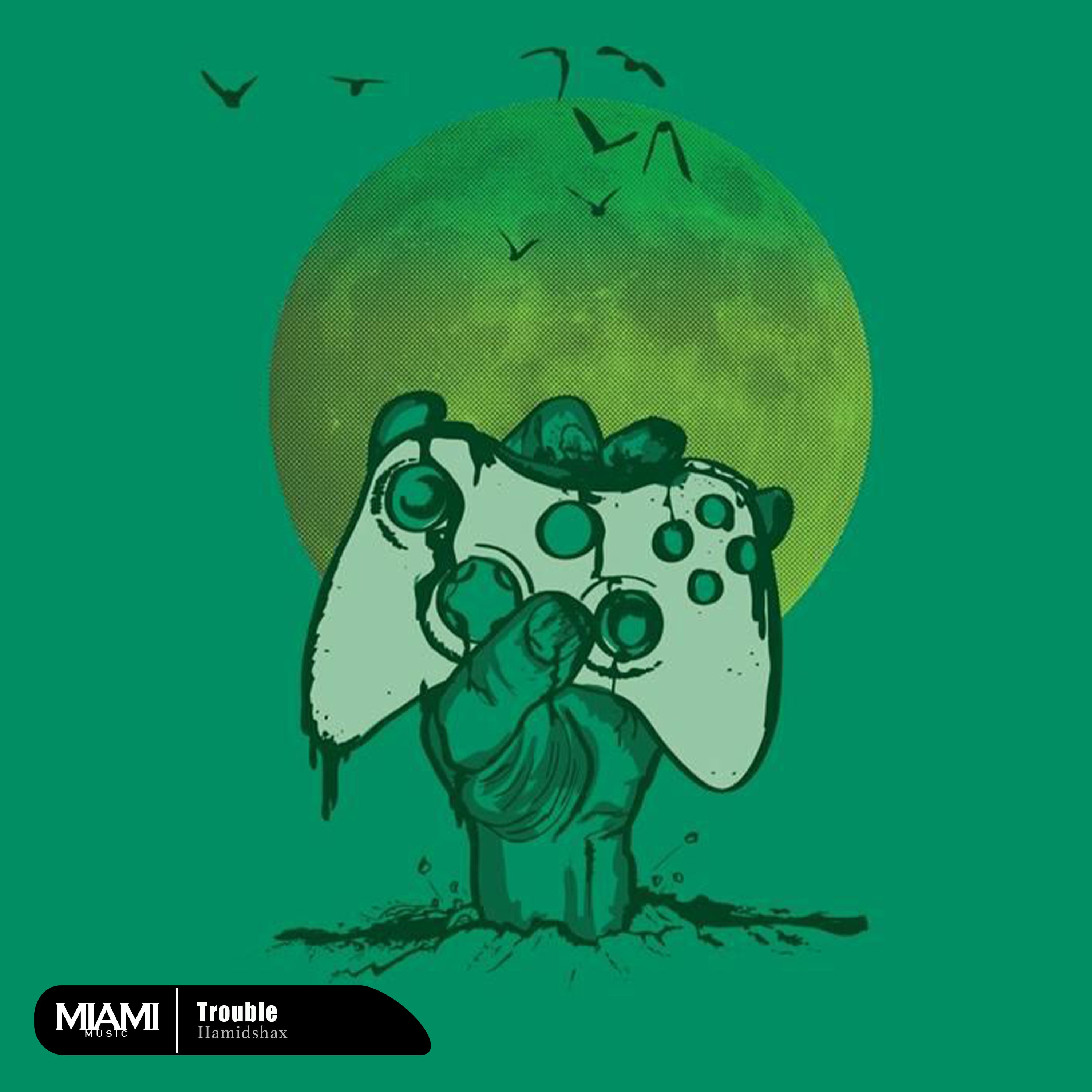 Hamidshax - Trouble (Original Mix)