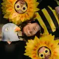 Birds and the Bees
