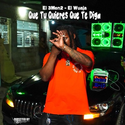 Que tu quieres que te diga - Single